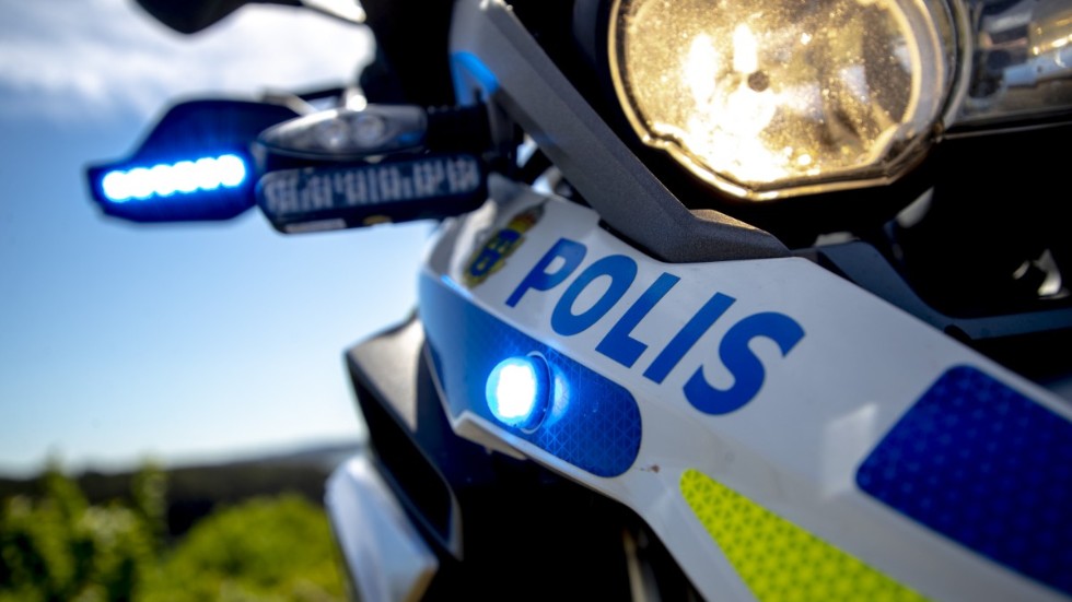 Poliserna ska bli fler och ges ökade befogenheter, skriver Sverigedemokraterna.