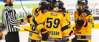 Flygkaoset: Luleå Hockey/MSSK fast i Göteborg