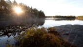 Miljöpartiet vill ha kvar Sörmlands fantastiska natur 