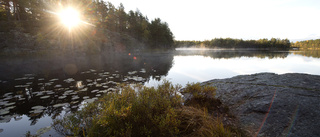 Miljöpartiet vill ha kvar Sörmlands fantastiska natur 