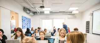 Internationell studie: Svenska elever är bäst i klassen, ibland