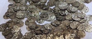 Mynt från vikingatiden hittade på Gotland