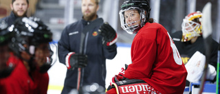 Regeländringen som fick Luleå Hockey att ändra träningsupplägg: "Ska vara redo"