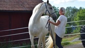 Nystartat företag: Anna och hästarna ska tillsammans hjälpa människor till välbefinnande 