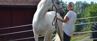 Nystartat företag: Anna och hästarna ska tillsammans hjälpa människor till välbefinnande 