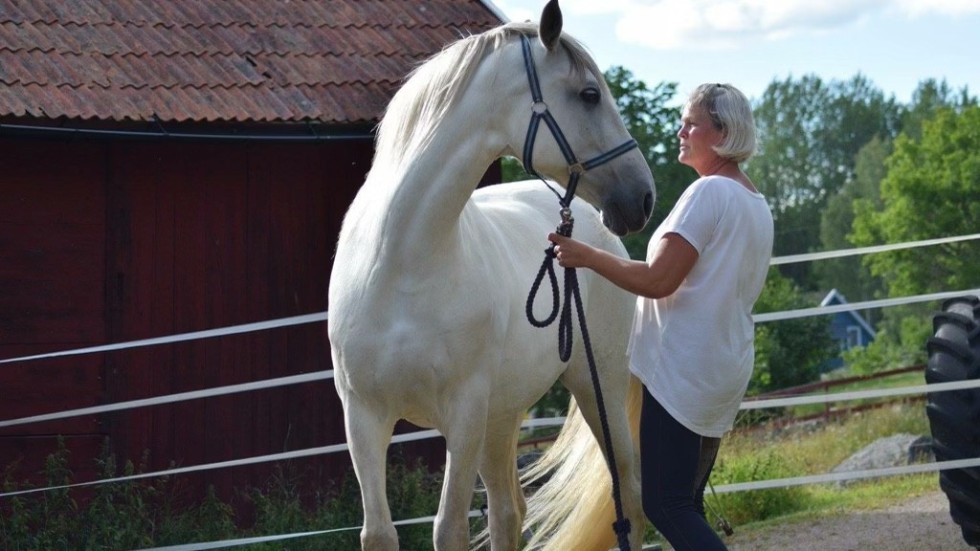 Anna Edvardsson har startat företaget Eqquego - Hästen & Jag, för att kunna erbjuda andra det hästarna gett henne. Till sin hjälp tar hon Delicia och övriga sju hästar som finns på gården i Bösebo.