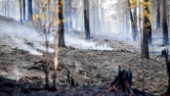 Få stora skogsbränder trots torka och värme
