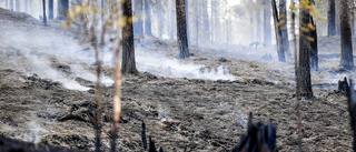 Få stora skogsbränder trots torka och värme