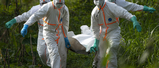 Första ebolafallet i Elfenbenskusten på 25 år