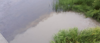 Utreder möjlig miljöförorening i vattendrag • Miljöinspektören: "Vi har testat brett" 