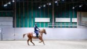 Ida, 13, drömmer om sin egen häst – har hopp om SM