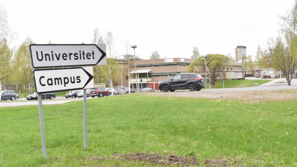 Skebo vill bygga studentbaracker på campusområdet i Skellefteå.