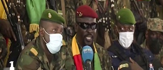 Ecowas avstänger Guinea efter kupp