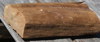 En 2 300 år gammal trästock hittad i sjö