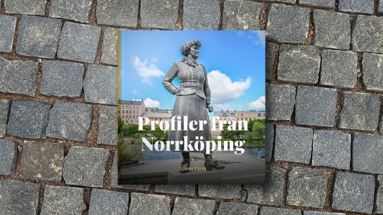 Profiler från Norrköping - nytt lägre pris