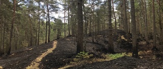 Varningen: Gå inte in i området efter branden: "Träden kan falla väldigt lätt"