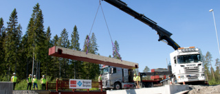 Nya träbroar på plats i Falkträsket · Nu är det fritt fram för gående, cyklister och fiskar - men bilisterna får vänta