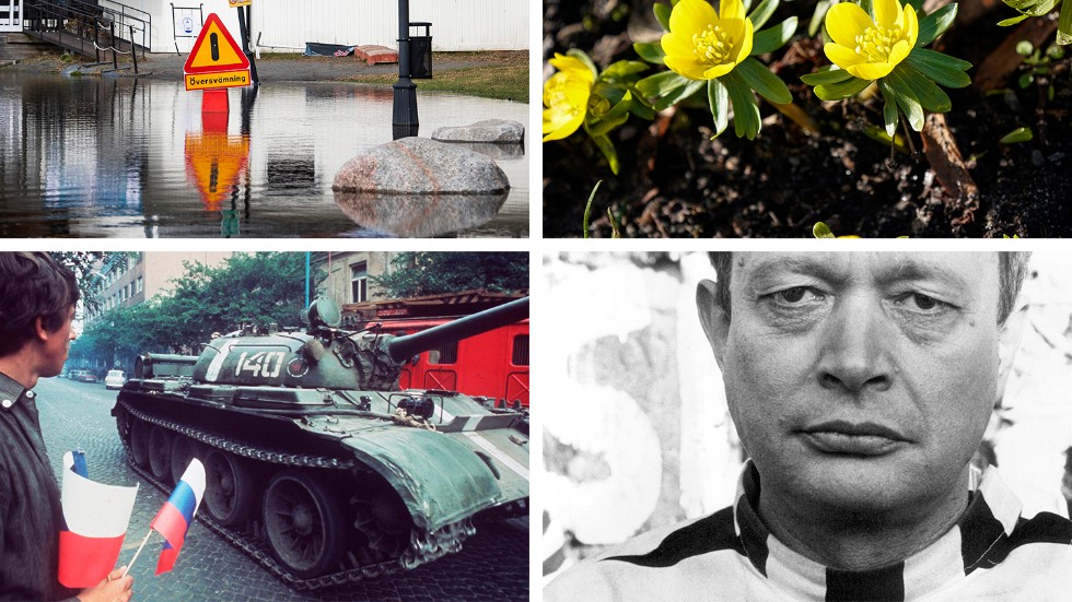 En översvämning, blommor, en stridsvagn och Ernst-Hugo Järegård. Gör vår(t) quiz om vår nedan!
