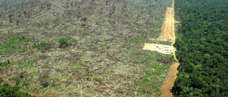 Olaglig gruvdrift ökar i Amazonas