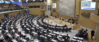 Uppgifter: Extra Natodebatt i riksdagen