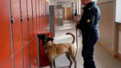 Polisen sökte med hund efter droger på skolorna