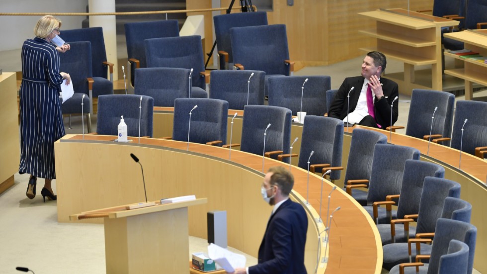 När Moderaternas och Sverigedemokraternas ekonomisk-politiska talespersoner möttes i tisdagens Aktuellt var det idel glada leenden. Som i här i riksdagen i våras.