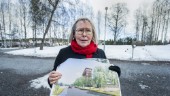 Arkitektens utspel: Slå vakt om stadsmiljön i Luleå