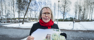 Arkitektens utspel: Slå vakt om stadsmiljön i Luleå