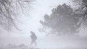 Väder: SMHI varnar för hårda vindar och snö i fjällen