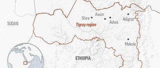 Eritreanska soldater dödade civila