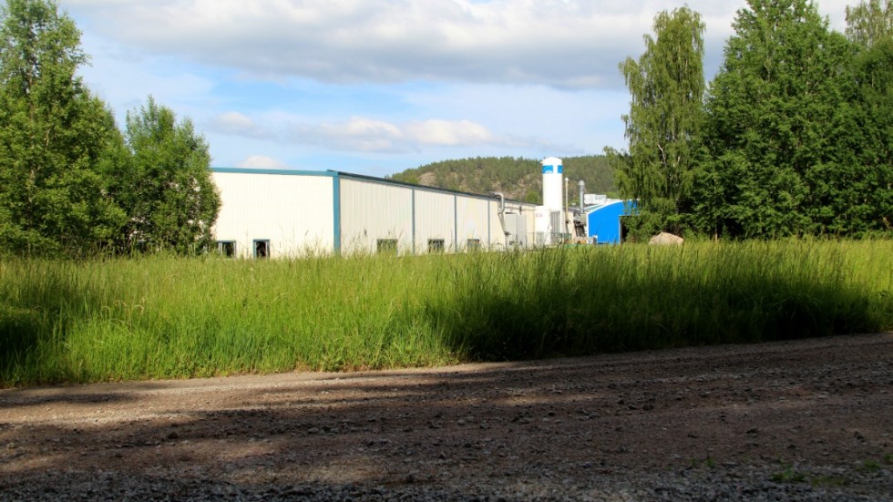 Här, strax söder om BTT Plåt i Kisa, vill samhällsbyggnadsnämnden färdigställa en 19000 kvadratmeter stor industritomt.