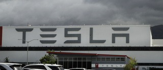Musk: Dyrare råvaror pressar upp Tesla-priser