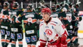 Spelade matcher med Björklöven – nu är tidigare AIK-junioren klar för Boden