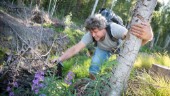 Sommartipset: Skogspromenad med appar och tändstål