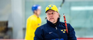 Landén tackade nej till Ryssland, nu jobbar han åter för Motalahockeyn