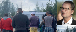 Strandsatta bärplockare tvingas bo i tältläger i Norrbotten – kopplas till bärbaron: "En lurendrejare som utnyttjar utsatta människor"