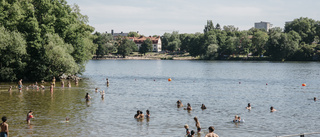 Badförbud i Stockholm efter intensiva regnet – vattnet kan vara otjänligt