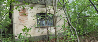 Hetast på Hemnet: Förfallet hus i skogen på 20 kvadrat • Topprenoverad villa i Stenhagen lockar också