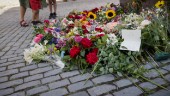 32-åring häktas för terrorbrott efter Visbydåd