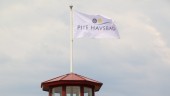 Pite havsbad slår alla rekord: "Bäst i vår historia"