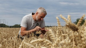 Stora orosmoln för lokala bönder – Jakob Andersson i Varv: "Jag kommer nog inte lösa det" 