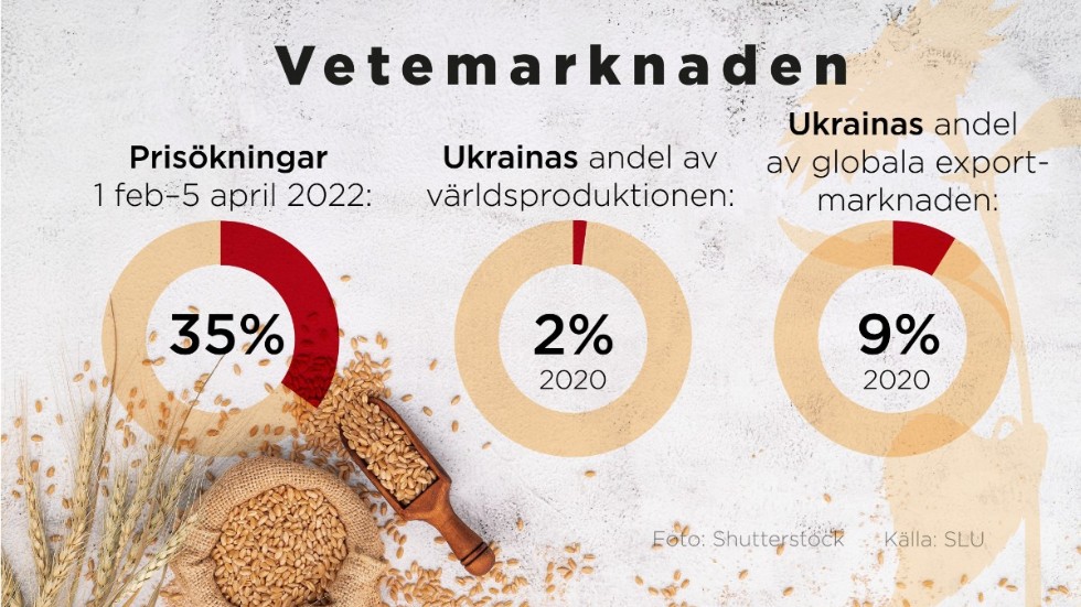 Prisökningar på vete och Ukrainas andel av världsproduktionen samt global exportmarknad.