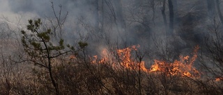 Gräsbrand spred sig snabbt utanför Ålberga