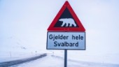 Fransk turist skadad av isbjörn på Svalbard