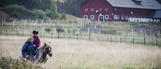 Ridlektioner och hästskötsel åter på Berga gård