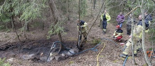 Brand nära Kronfågel