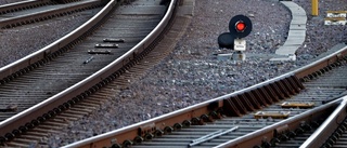Tåg körde på rådjur – stoppade i tågtrafiken