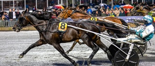 Don Fanucci Zet vann miljonloppet i Boden – Skellefteåhästar på "pallen" i V75