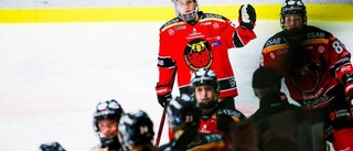 Rapportering: Så var Leksand–Luleå Hockey