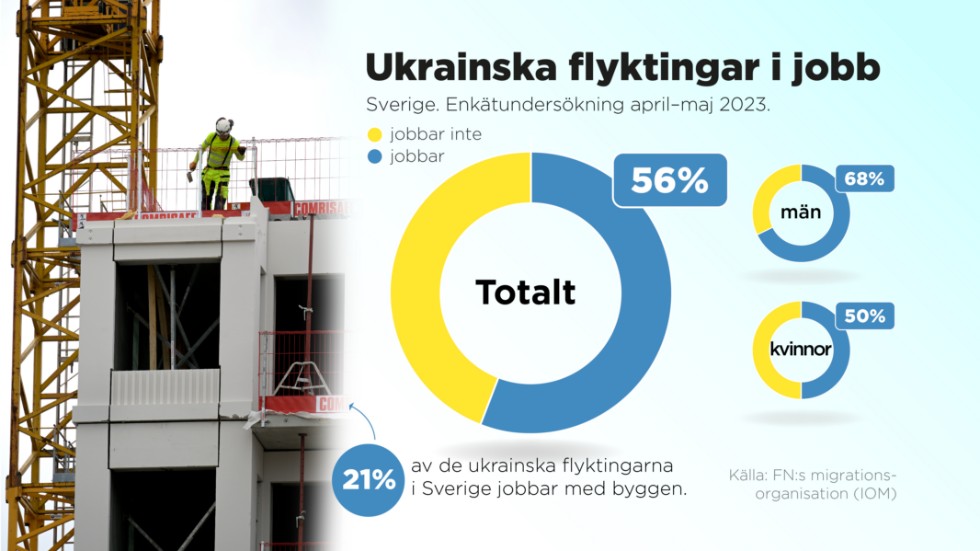 Så är läget på arbetsmarknaden för ukrainska flyktingar i Sverige.